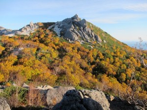 IMG_5772