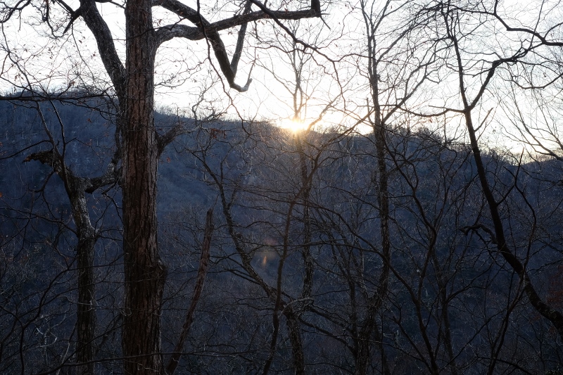 DSCF0444 (800x533)