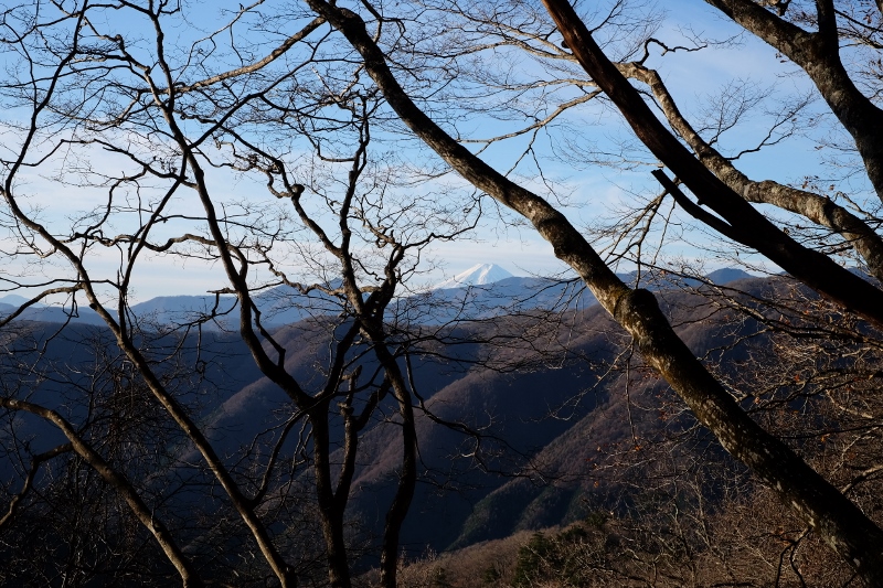 DSCF0457 (800x533)