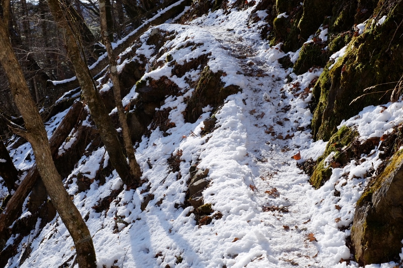 DSCF0462 (800x533)