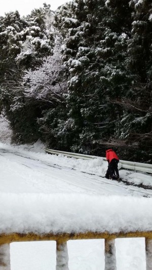 【名古屋店】　雪もふもふの御在所に行って…