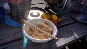 IMG_20160125_124218_20160128152104