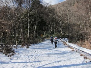 IMG_6145