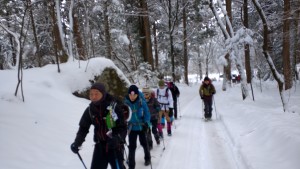 IMG_20160130_100551_20160201174432