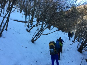 IMG_6378
