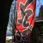 IMG_6446