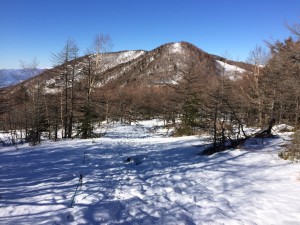 IMG_8903