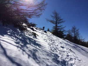 IMG_8918
