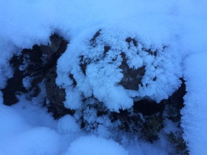 IMG_8931
