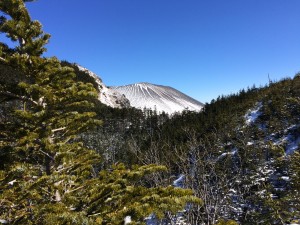 IMG_8958