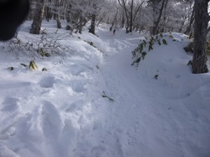 P1000197