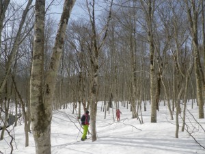 長野店　里山BC