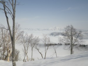IMGP9345