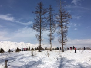 IMG_0299