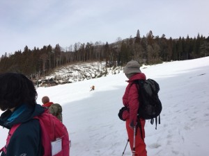 IMG_0309