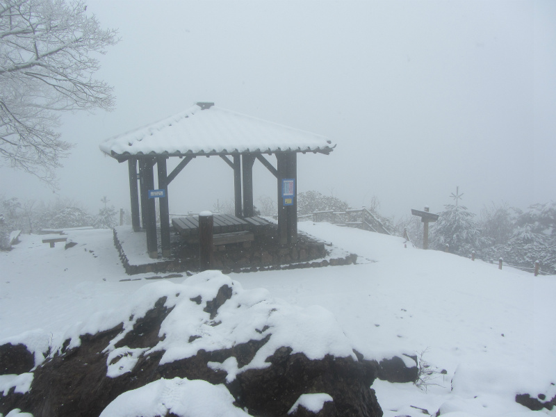 【登山本店】　日の出山　902ｍ　（奥多…