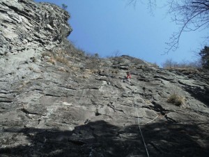 1461068520529_20160420091024