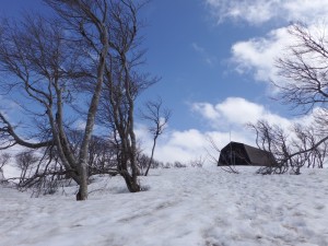 DSCF0418