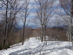 DSCF0419