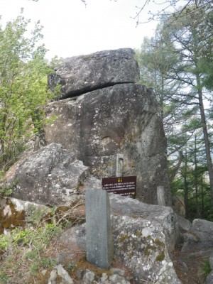 IMGP9526