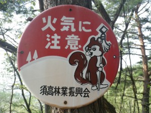 IMGP9553