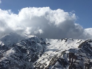IMG_0411