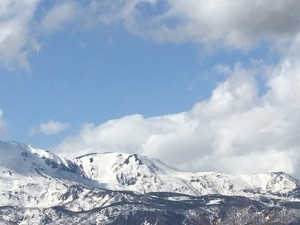 IMG_0412