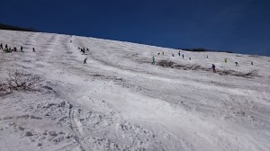 DSC_4385