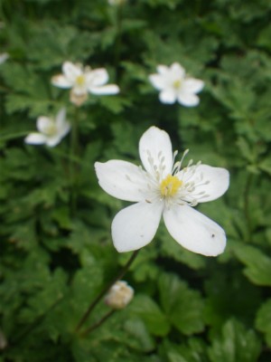 IMGP9901