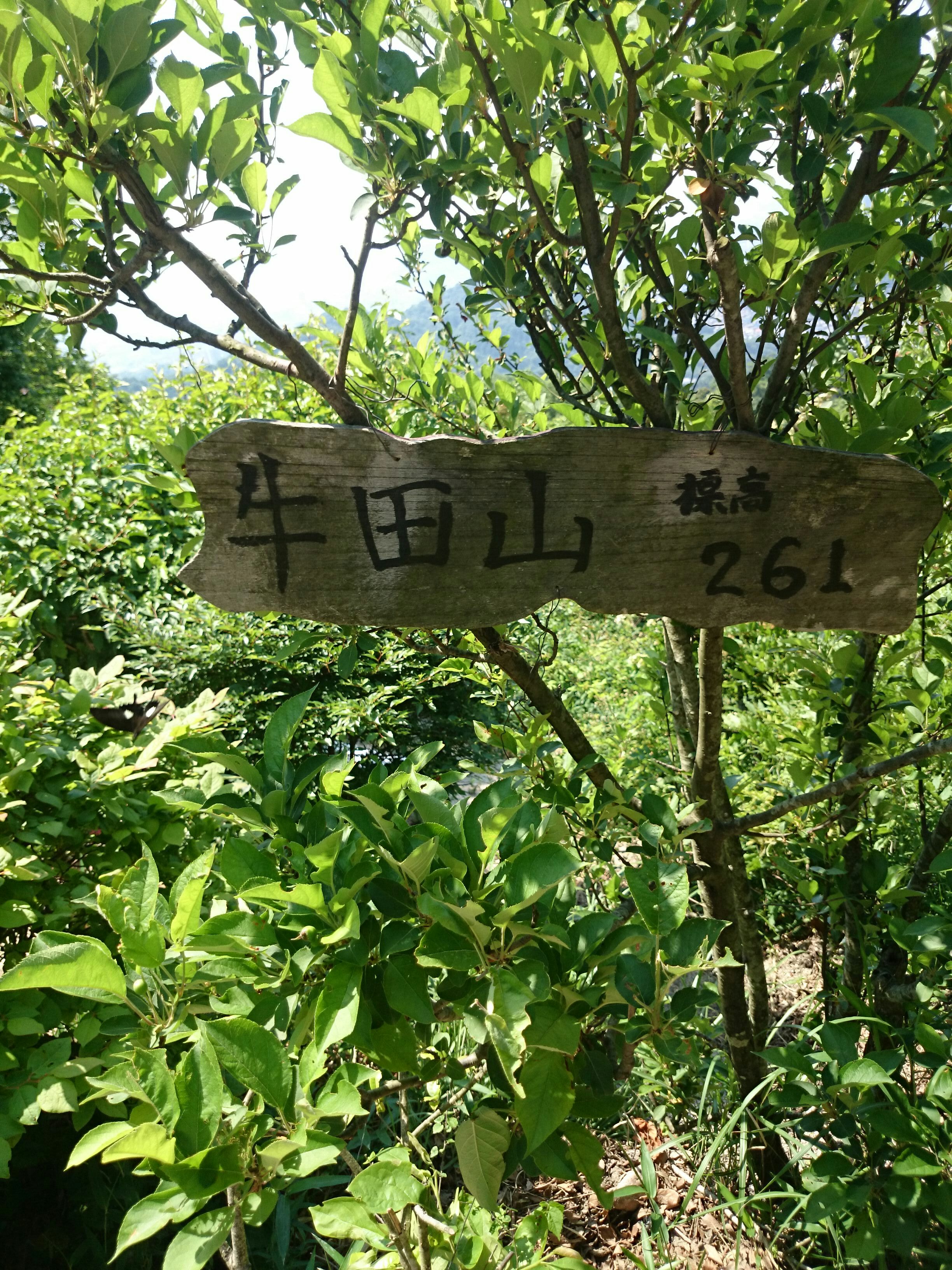 JPEG_20160520_102238_-349472077