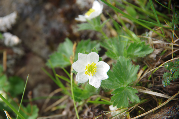 K5IP9536花