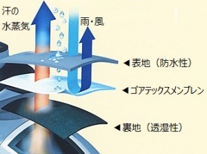 ゴアテックスの構造