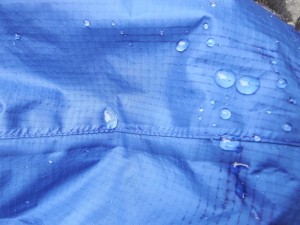 DSCF0449