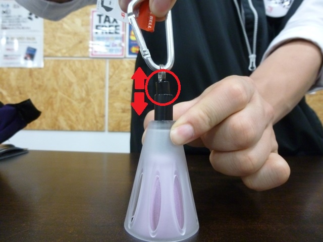 P1000601