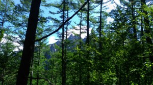P_20160602_084224