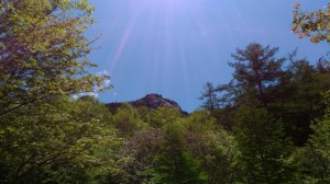 P_20160602_101446