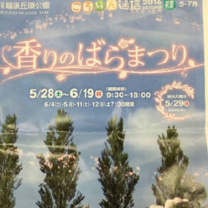 バラ広告1106