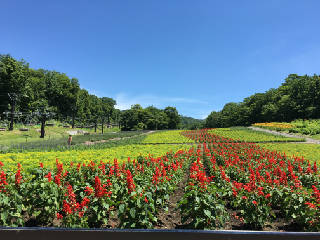 入口2　IMG_1340