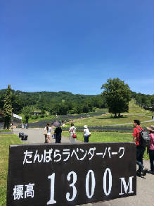 看板1300_IMG_1380