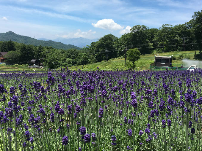 ラべ_IMG_1368