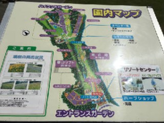 マップ　IMG_1336