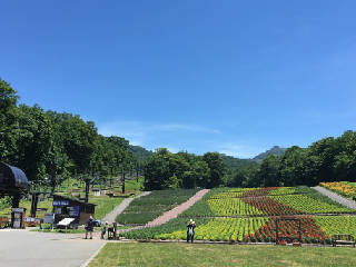 入口　IMG_1337