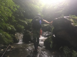 IMG_8207