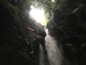 IMG_8247