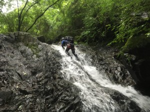 IMG_8262