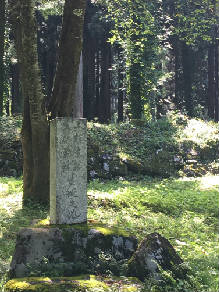 せいたんIMG_1783