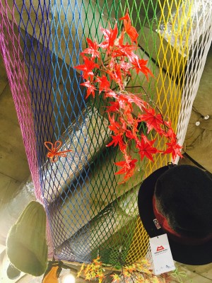 IMG_0567