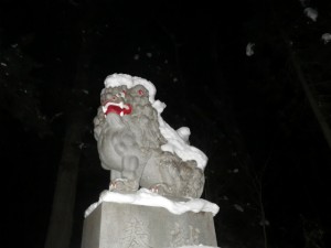 IMGP1203