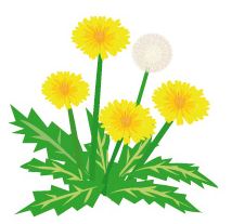 2017-02-23 13_10_48-春 イラスト 無料 - Google 検索 - Internet Explorer