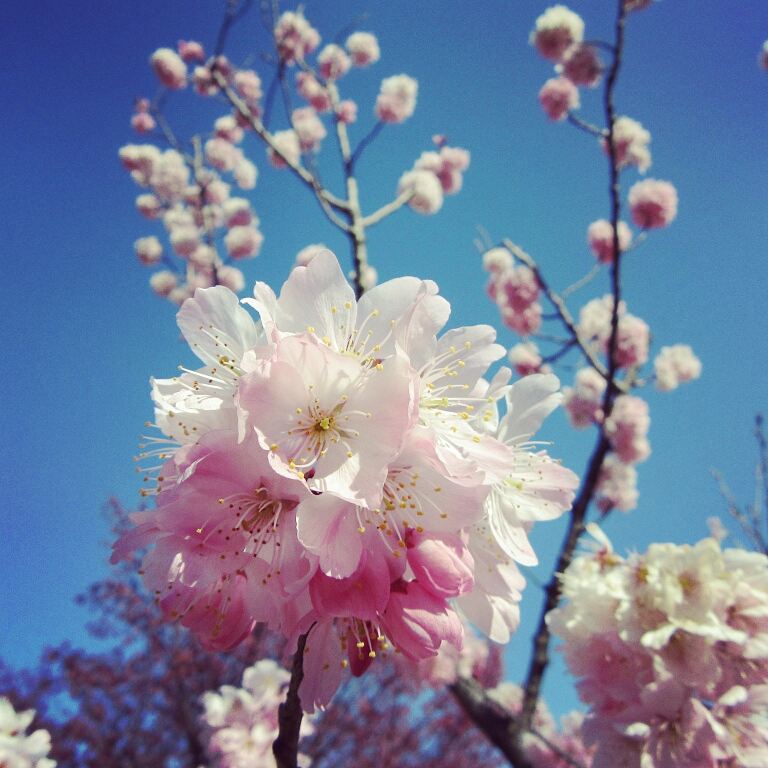 IMG_20170322_143549_100